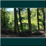 WhatsApp Image 2024-06-11 at 09.48.05(1).jpg